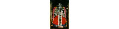 புன்னை நல்லூர் மாரியம்மன் - தமிழ்நாடு